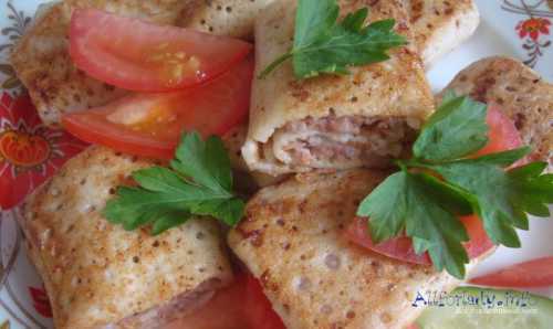 the pasta stuffed with forcemeat and cheese in an oven: nests, tubules