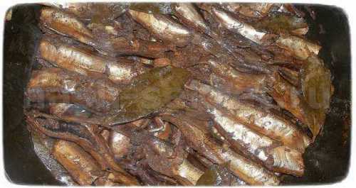 sprats Riga of a capelin are eaten instantly